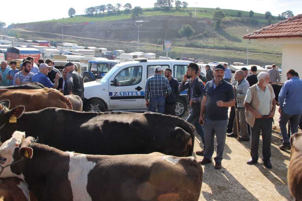 Havza Belediyesi kurban bayramı öncesi tedbir aldı