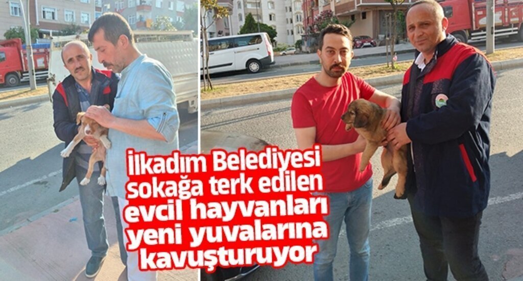 ilkadim Belediyesi 2