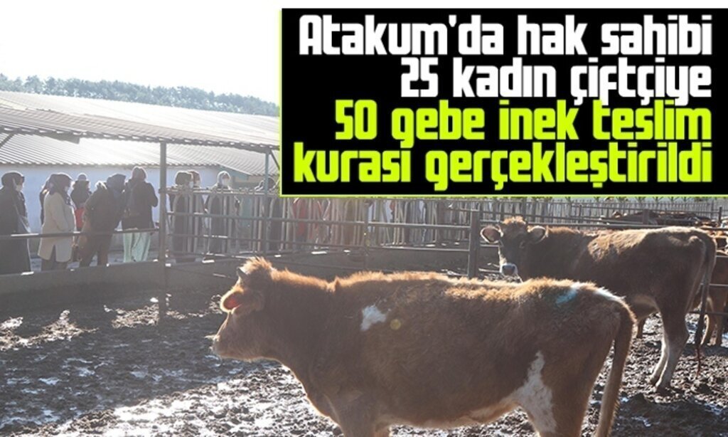 inek teslim atakum1