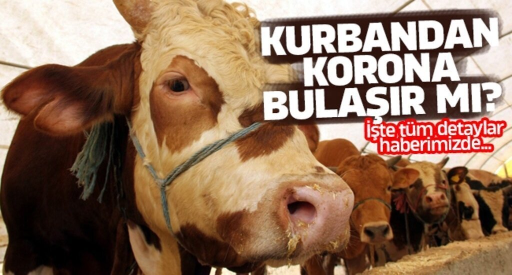 iste tum detaylar haberimizde