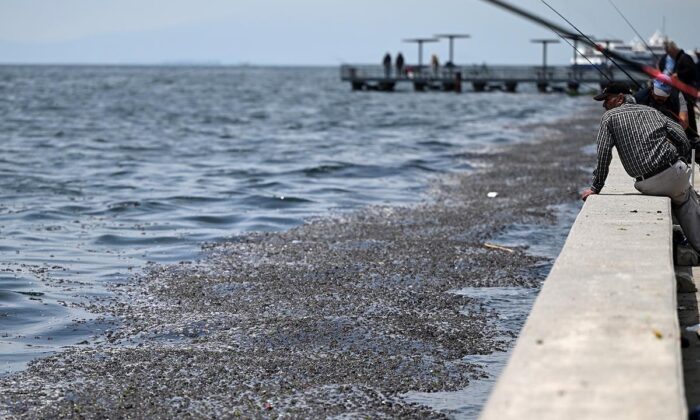 İzmir Körfezi’ndeki kirlilikle ilgili belediyeye 1,8 milyon lira ceza