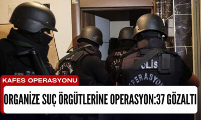 Organize suç örgütleri “Kafes” operasyonuna Takıldı! 37 gözaltı