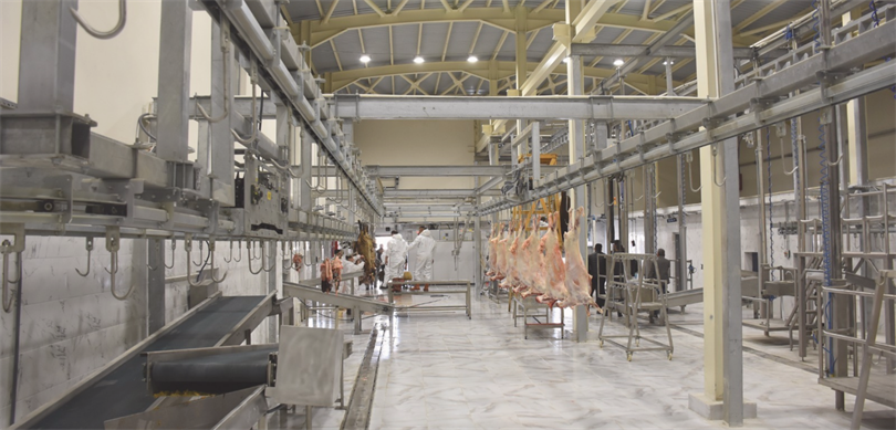 kurban kesim yeri denetim vitrin