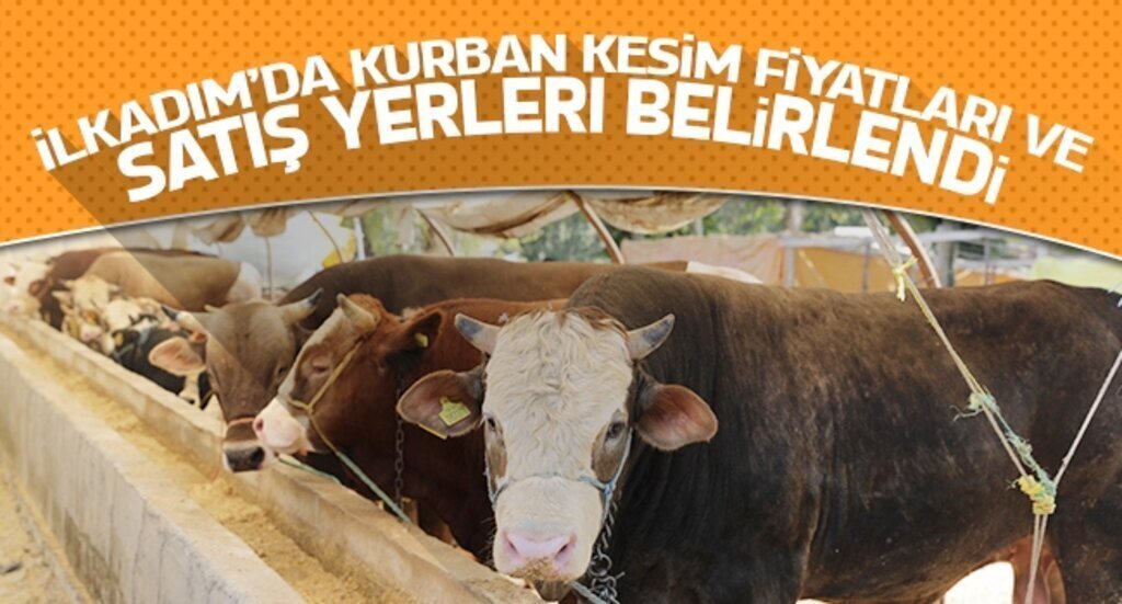 kurban kesim1