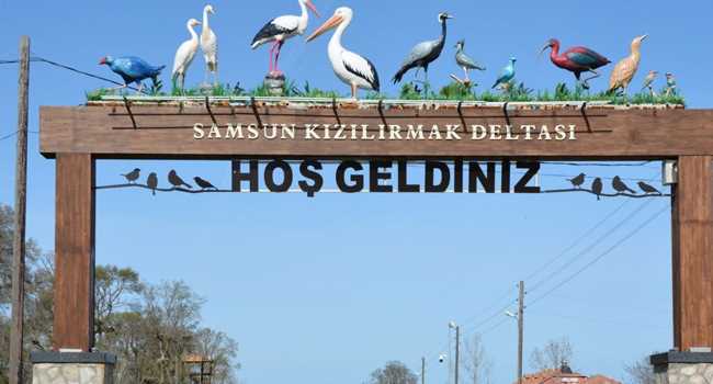 Samsun’da ayak izi raporu hazırlandı