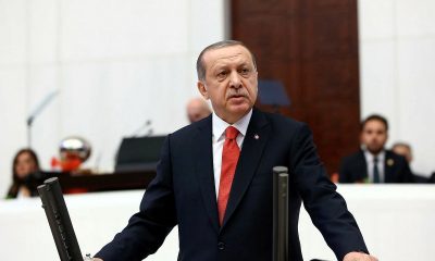 Cumhurbaşkanı Erdoğan: Hayvana İşkenceye Af Yok!
