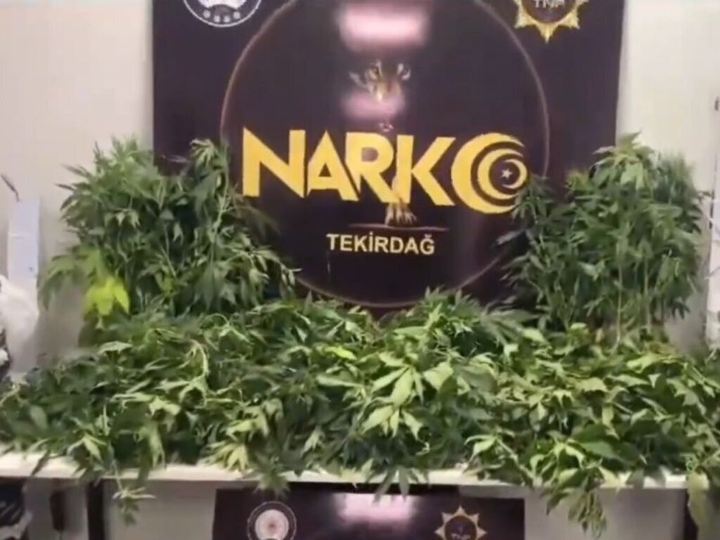 narko46