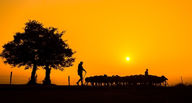 Nebiyan Doğa Festivali Fotoğraf Yarışması sonuçlandı