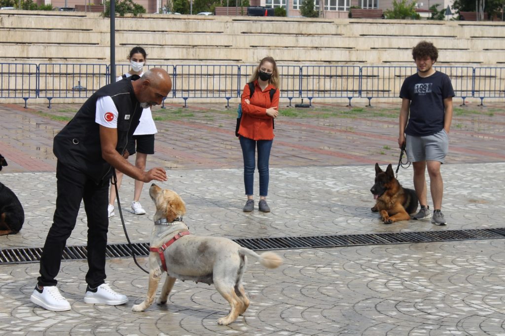 OMÜ Çalışanı ve Öğrencilerine AFAD’dan Temel Köpek Eğitimi