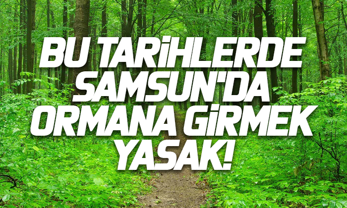 Samsun’da ormanlara girişler yasaklandı!