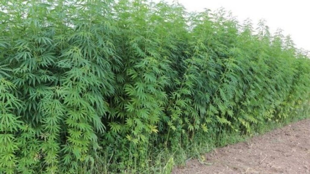 s a m s u n u n v e z i r k o p r u i l c e s i n d e k e n e v i r e 690985 204702