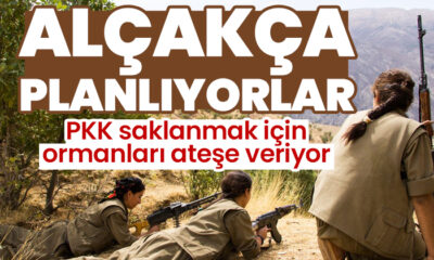 PKK saklanmak için ormanları ateşe veriyor