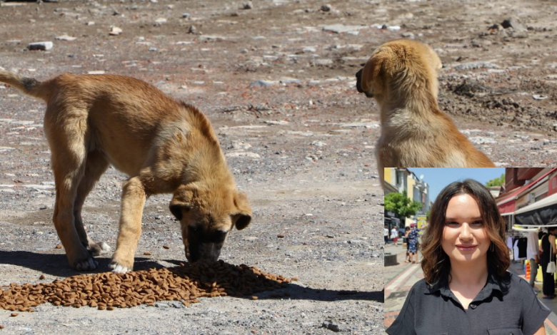 site 2024 05 23T124516.818