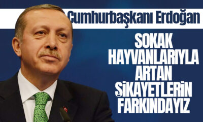 Erdoğan: Başıboş sokak hayvanlarıyla ilgili artan şikâyetlerin farkındayız