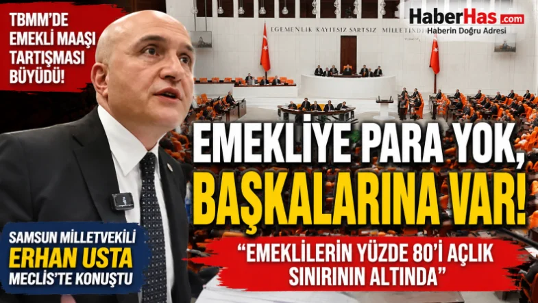 Samsun Milletvekili Erhan Usta'dan TBMM'de Sert Çıkış