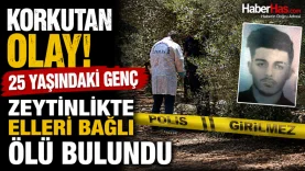 Korkutan Olay! 25 Yaşındaki Genç Zeytinlikte Elleri Bağlı Ölü Bulundu