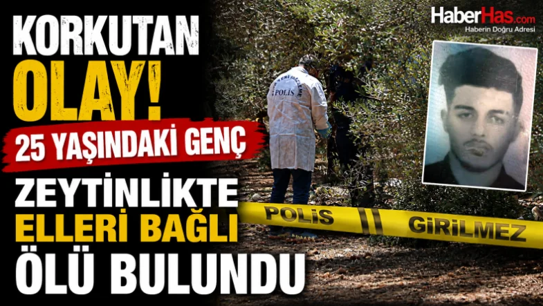 Korkutan Olay! 25 Yaşındaki Genç Zeytinlikte Elleri Bağlı Ölü Bulundu