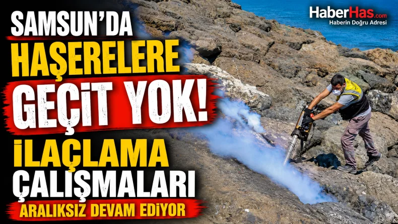 Samsun’da Haşerelere Geçit Yok! İlaçlama Çalışmaları Aralıksız Devam Ediyor