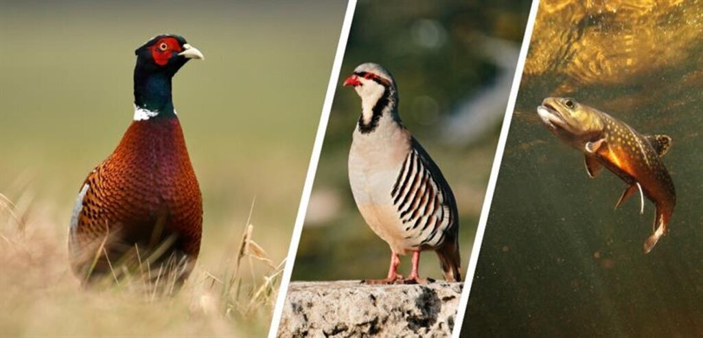 yabanhayatigunu02.03.2024