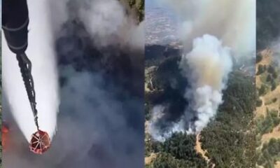 İzmir’de orman yangını; Müdahale sürüyor