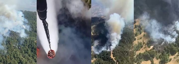 İzmir’de orman yangını; Müdahale sürüyor